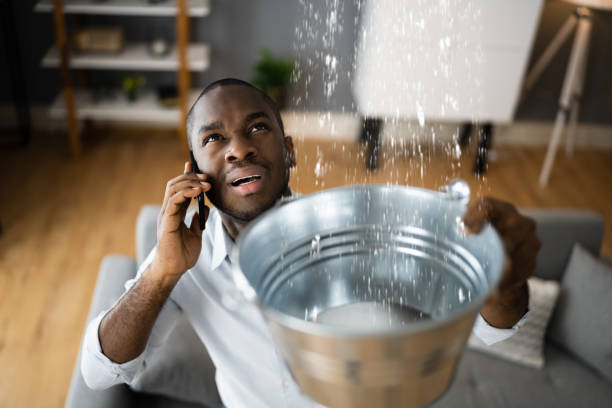 Best Carpet water damage restoration  in Charlotte, NC