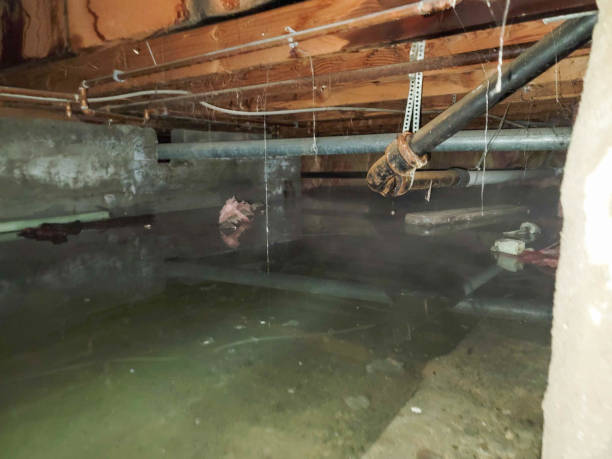 Best Basement water damage restoration  in Charlotte, NC