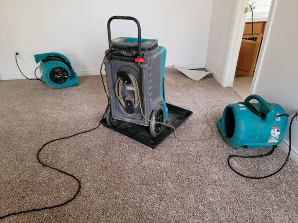 Best Water damage restoration near me  in Charlotte, NC