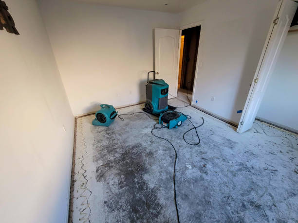Best 24-hour water damage restoration  in Charlotte, NC
