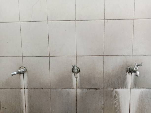 Best Flood restoration services  in Charlotte, NC