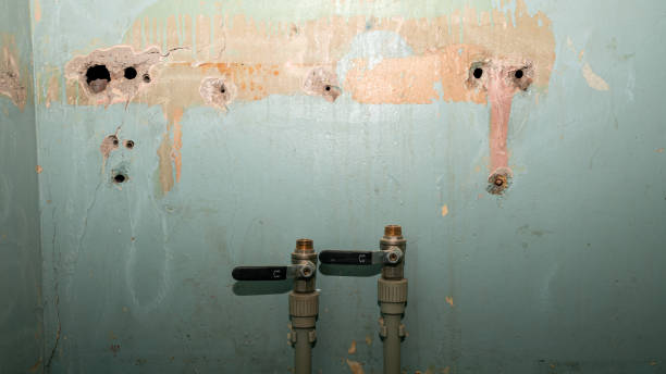 Best Water damage contractors near me  in Charlotte, NC
