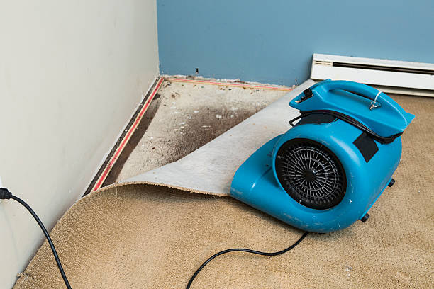 Best Emergency water damage restoration  in Charlotte, NC